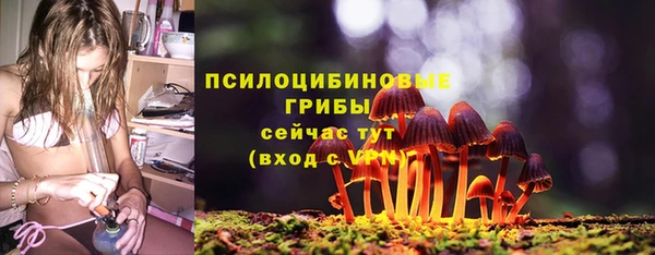 альфа пвп Краснослободск