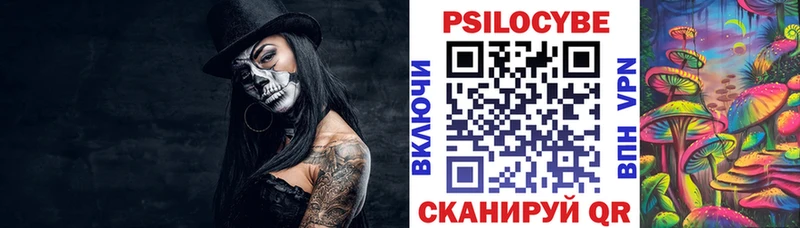 Галлюциногенные грибы Psilocybine cubensis Кукмор